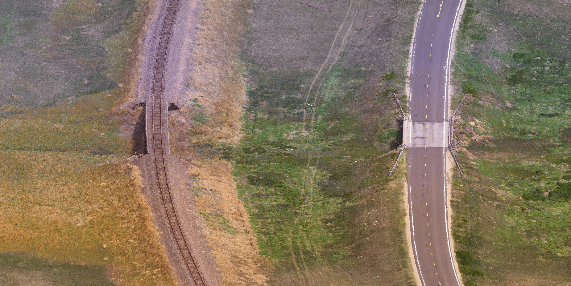 Topographical